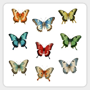 Colorful Butterflies, Cute Butterfly for Nature Lover Sticker